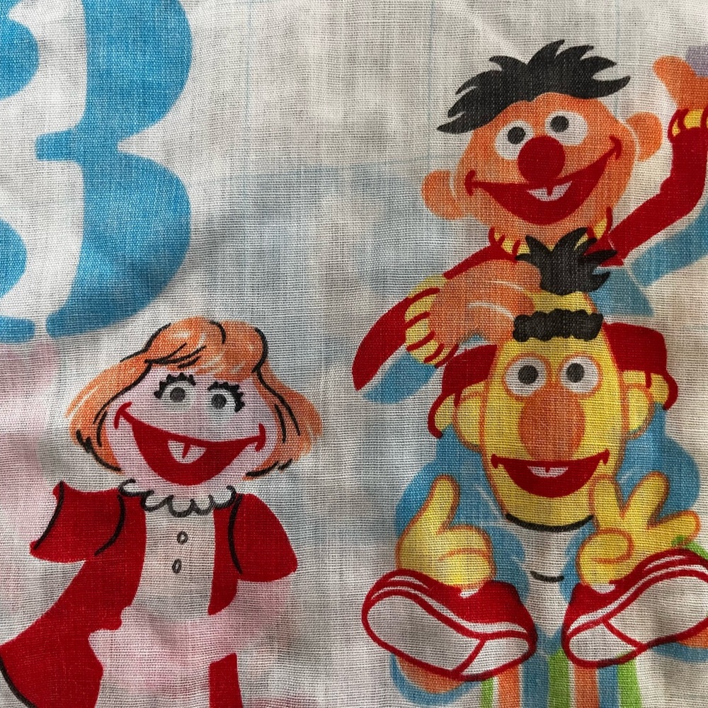 Vintage Sesame Street Pillow Case , Standard, Ernie , Cookie Monster , Big Bird